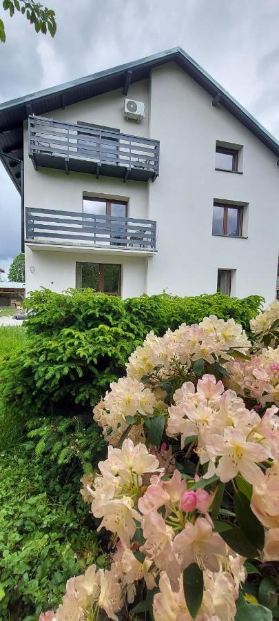 Apartamenty Montania Wisła Exteriör bild