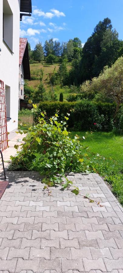 Apartamenty Montania Wisła Exteriör bild